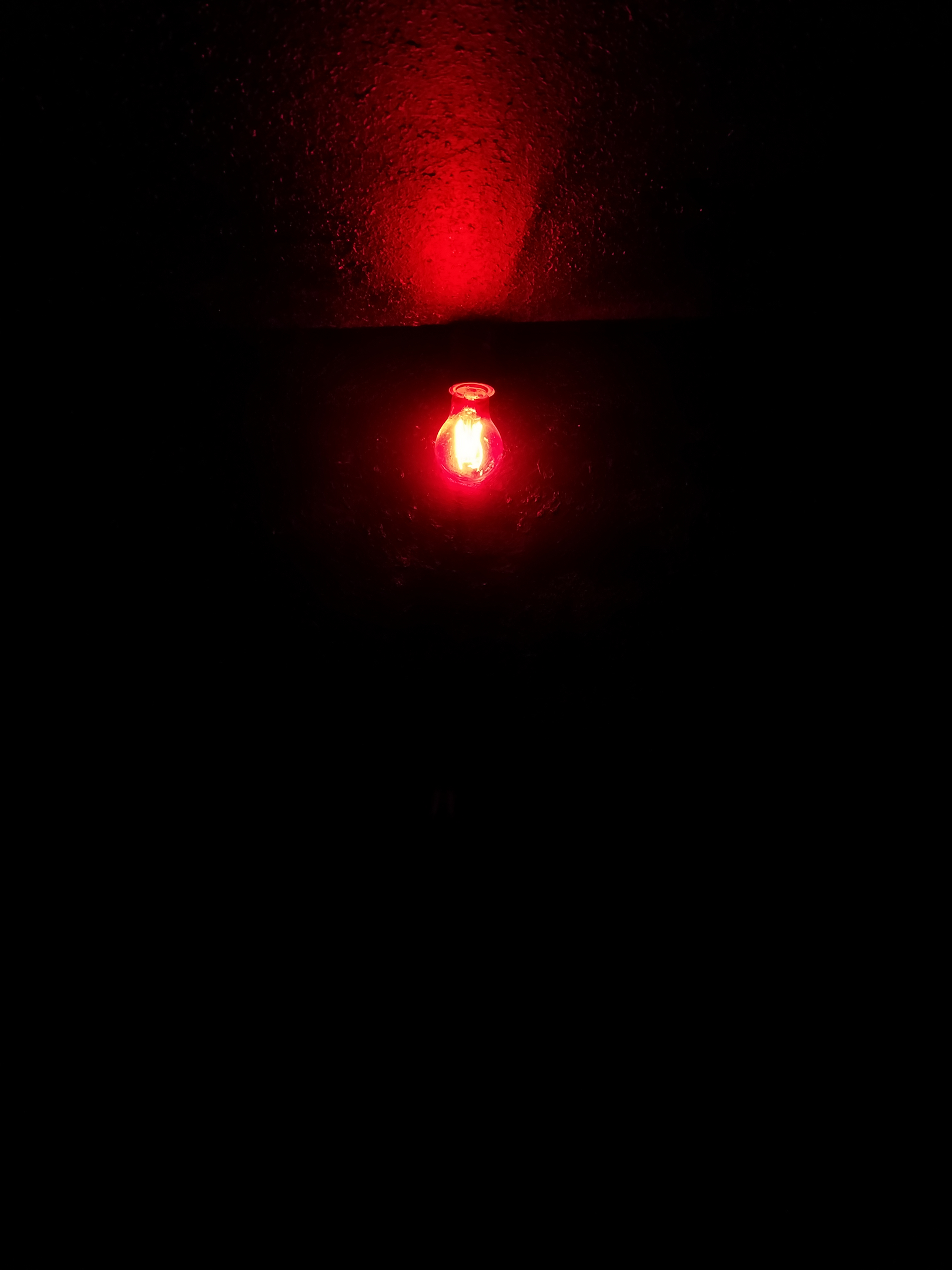 A red lightbulb against a dark wall.
